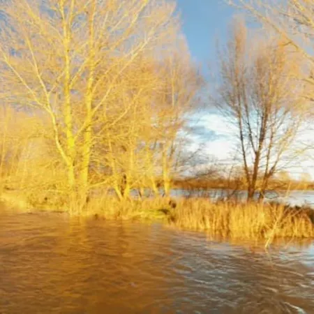 Le Vingt-six * Rochefort-sur-Loire