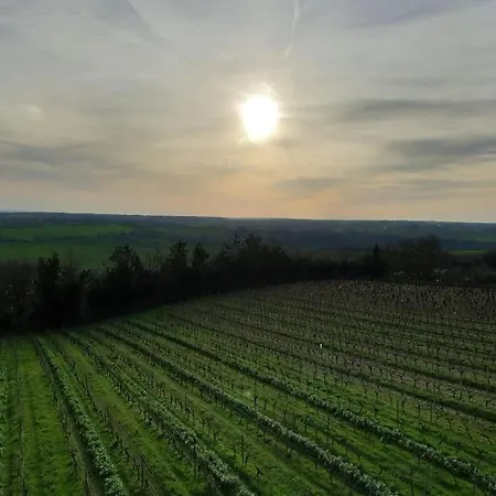 Le Vingt-six * Rochefort-sur-Loire