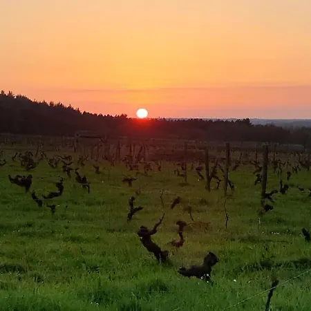 Appartamento Le Vingt-six Rochefort-sur-Loire