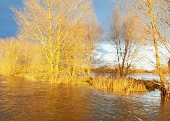 Le Vingt-six * Rochefort-sur-Loire