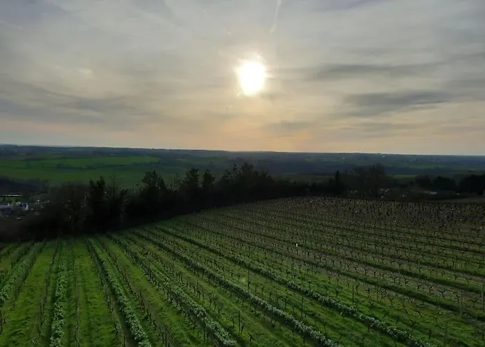 Le Vingt-six * Rochefort-sur-Loire